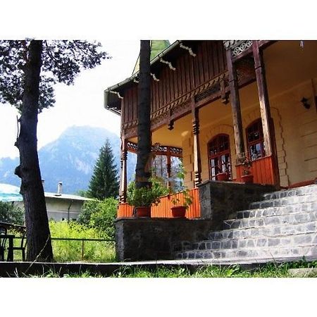 Casa Frasin Busteni Exterior photo