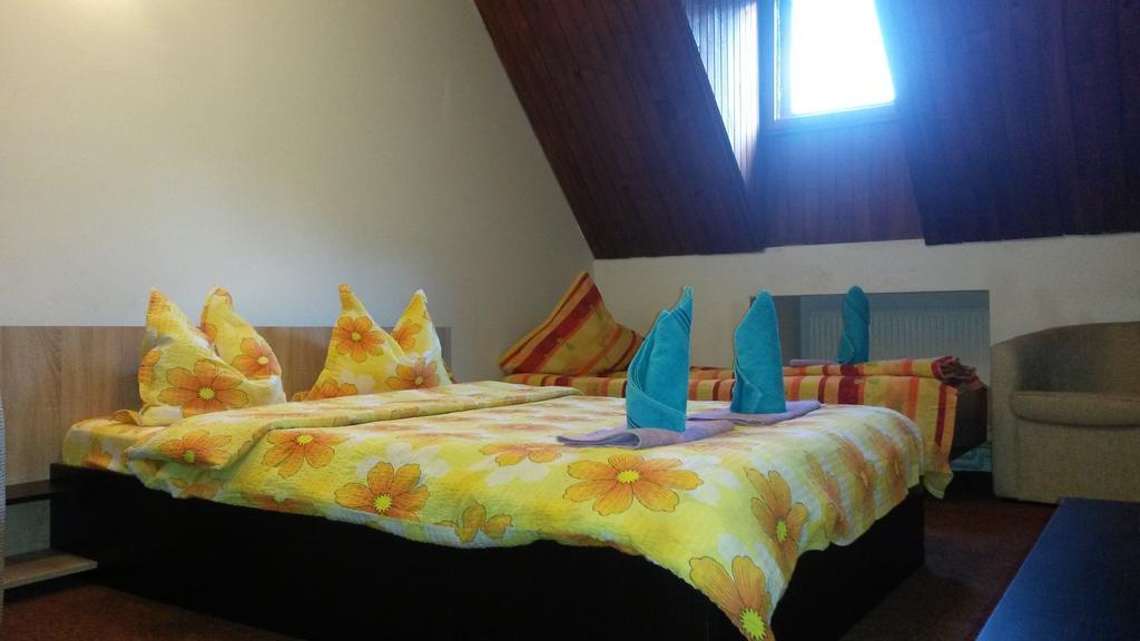 Casa Frasin Busteni Room photo